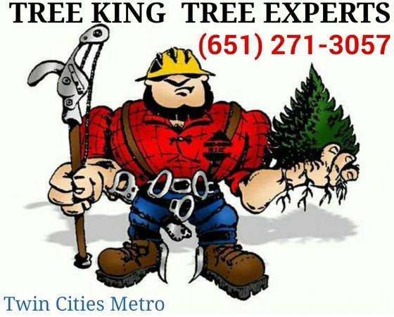 Tree King Tree Experts - tree service in Saint Paul, MN