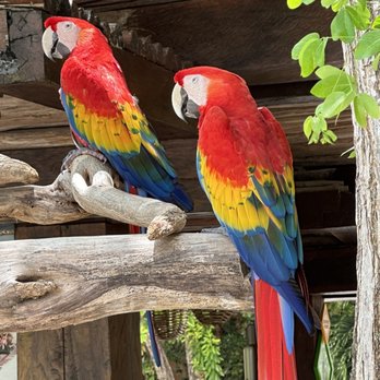 Xcaret Park - Amusement Parks Near Me - Playa del Carmen, ROO