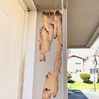 Advanced Integrated Pest Management - It is absolutely unbelievable how termites burrow through solid wood.  We put a stop to them, and repair the damage they have caused. - Pest Control Near Me - Ventura, California
