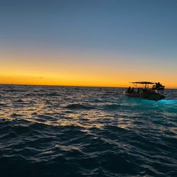 Blue Wilderness Dive Adventures