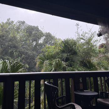 Nomad Lounge - View - Asian Fusion Near Me - Lake Buena Vista, Florida Nomad Lounge - View - Asian Fusion Near Me - Lake Buena Vista, Florida