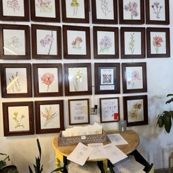 The Studio