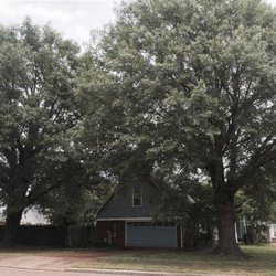 Addison Tree Care