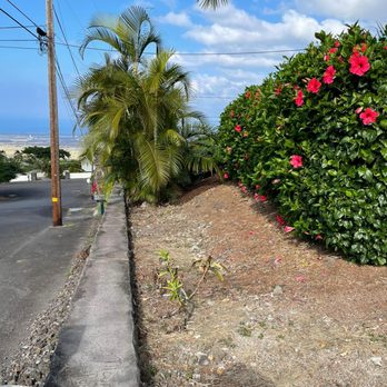Aina Terra Permascapes - East side - Before - Landscaping Near Me
