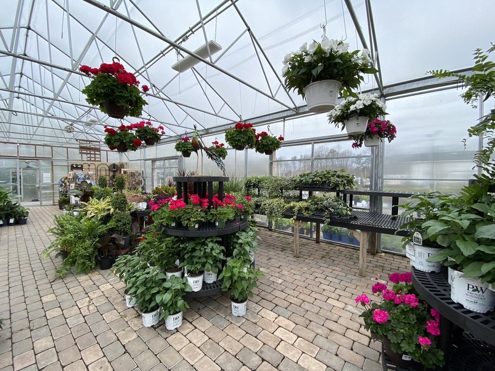 THE NURSERY AT BAY GARDENS Updated September 2024 80 Montauk Hwy, East Moriches, New York