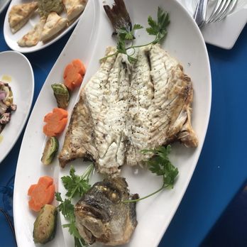 Zesty's - Dorado? - Greek Near Me - Philadelphia, Pennsylvania Zesty's - Dorado? - Greek Near Me - Philadelphia, Pennsylvania