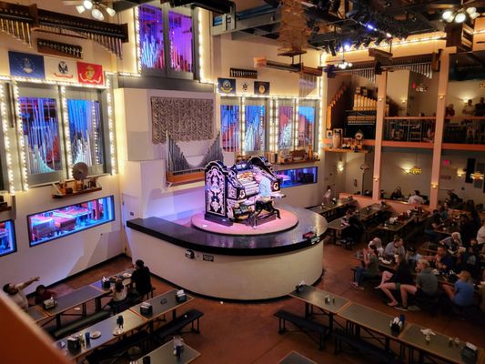 Organ Stop Pizza by null