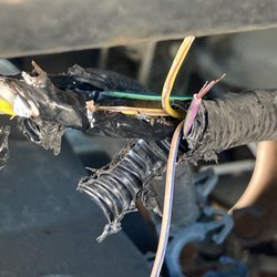 Budget Car & Truck Rental - Wiring harness for fuel pump