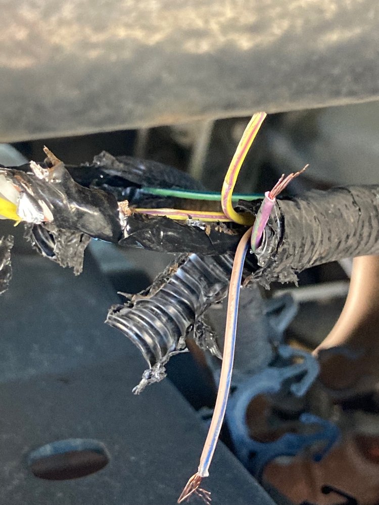 BUDGET CAR & TRUCK RENTAL Updated August 2024 100 Airport Rd