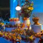 Photo of Mojs Events