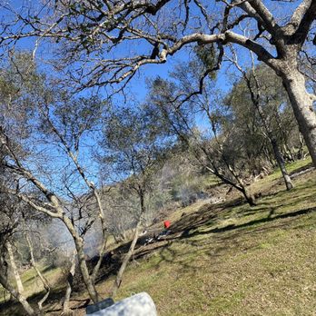 Firefall Fuels Mitigation - Tree Services Near Me Firefall Fuels Mitigation - Tree Services Near Me