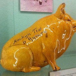 Swansea Museum