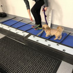 404 vet emergency hospital