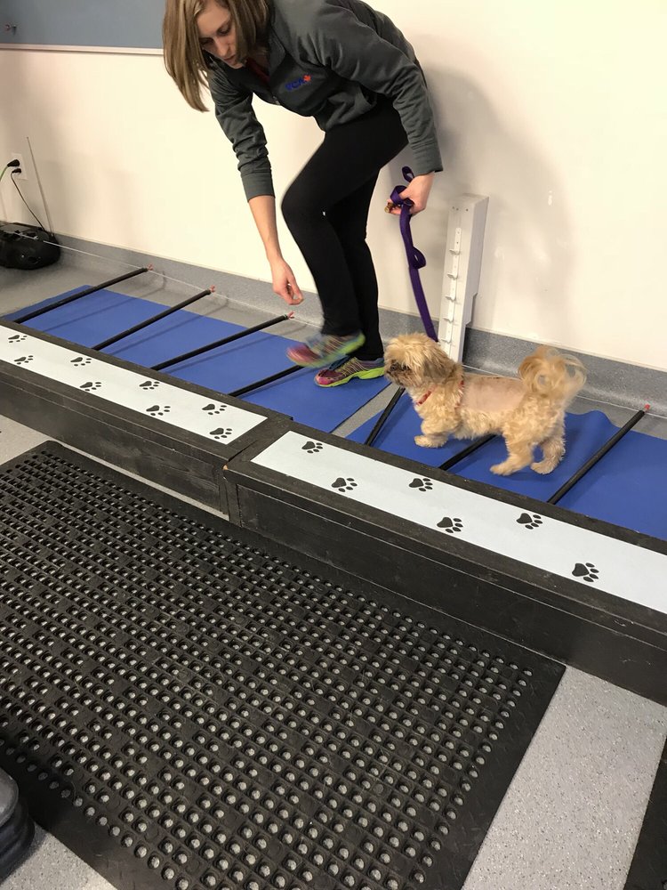 404 veterinary hospital