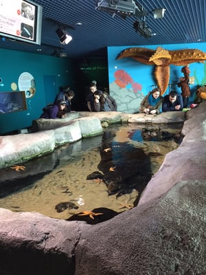 National Marine Aquarium by null