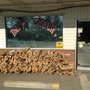 Photo of Trent's Grocery