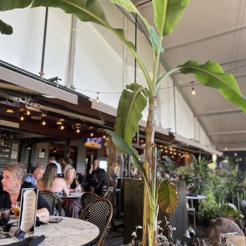 Doc & Bubbas - New American Near Me - Mohnton, Pennsylvania