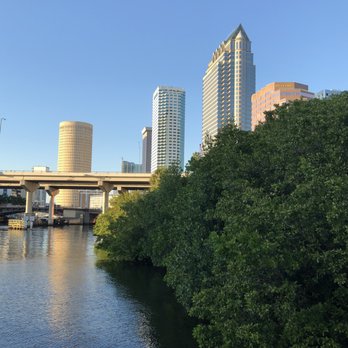 The Tampa Riverwalk - Mangrove swamp along the riverwalk. - Parks Near Me - Tampa, Florida The Tampa Riverwalk - Mangrove swamp along the riverwalk. - Parks Near Me - Tampa, Florida