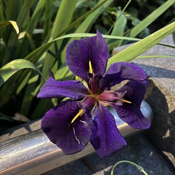 Canal Park DC - Parks Near Me - Washington, DC, District of Columbia
