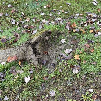 Birkmire Transportation Solutions - Damage to lawn following pick up of storage unit. Company will not fix. - Movers Near Me - Fairview, Pennsylvania