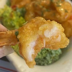 Cedar River Seafood - Shrimp