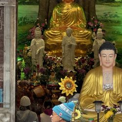 Van-Hanh Pagoda-Nc Buddhist Assoc - Venerable Buddhist monks inside temple