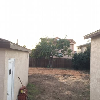 Red Maple Tree Service - Finish product!! - Tree Services Near Me - San Diego, California Red Maple Tree Service - Finish product!! - Tree Services Near Me - San Diego, California