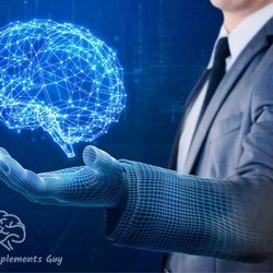 TheBrainSupplements