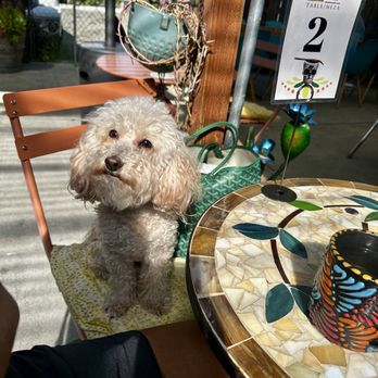 A Romo's Cafe - Coffee & Tea Near Me - Hayward, California
