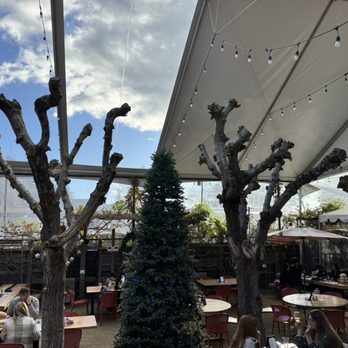 HopMonk Tavern - Covered patio - American Near Me - Sonoma, California HopMonk Tavern - Covered patio - American Near Me - Sonoma, California