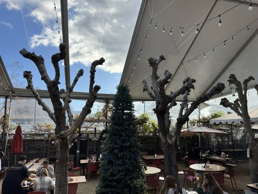 HopMonk Tavern Sonoma by null