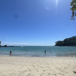 Kelly's Destination Deals
