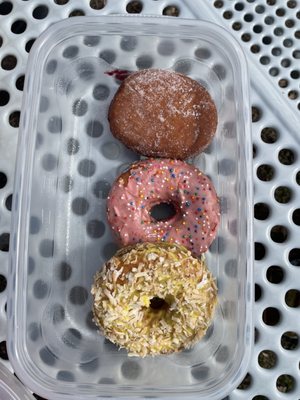 Blackbird Doughnuts Beacon Hill by null