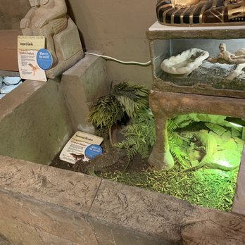 SeaQuest - Utah - Aquariums Near Me - Layton, Utah SeaQuest - Utah - Aquariums Near Me - Layton, Utah