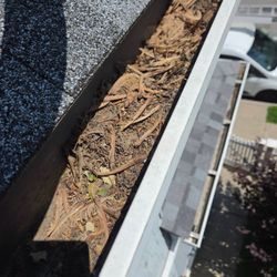Gutter Cowboy