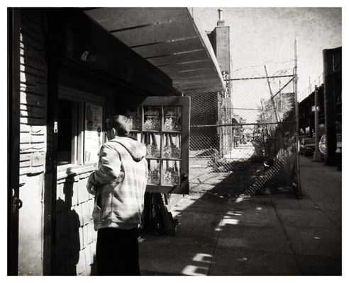 Empire Bagels by null