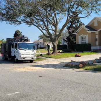 Tree Amigos Orlando - Tree Services Near Me - Orlando, Florida Tree Amigos Orlando - Tree Services Near Me - Orlando, Florida