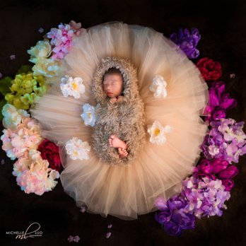 Foxtail studio - New born baby - Event Photography Near Me