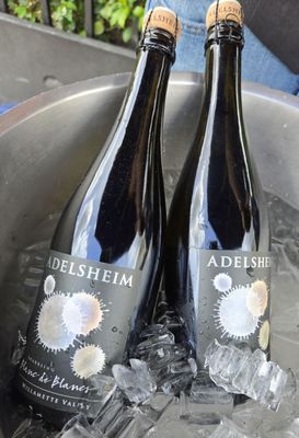 Adelsheim Vineyard by null