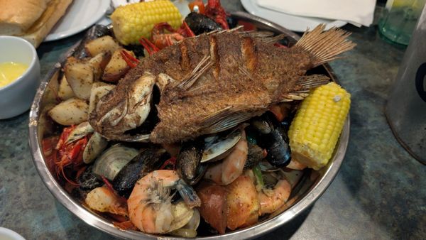 Shucks Tavern & Oyster Bar by null