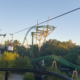 View from the sky ride. Cheetah Hunt is a lovely coaster! View from the sky ride. Cheetah Hunt is a lovely coaster!