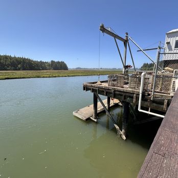 Goose Point Oysters - River and marsh. - Seafood Markets Near Me - Bay Center, Washington Goose Point Oysters - River and marsh. - Seafood Markets Near Me - Bay Center, Washington
