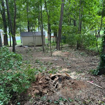 Groundmaster Landscape & Tree Care - Diseased tree was removed. - Landscaping Near Me - Concord, North Carolina