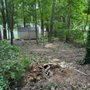 Photo of Groundmaster Landscape & Tree Care