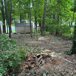Groundmaster Landscape & Tree Care - Diseased tree was removed.
