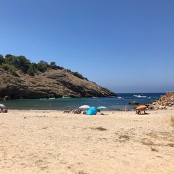Bagatelle - La playa