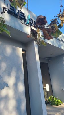 Elevate Physical Therapy & Fitness by null