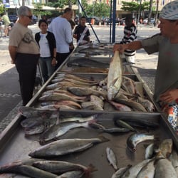 Colônia dos Pescadores - There are sharks too