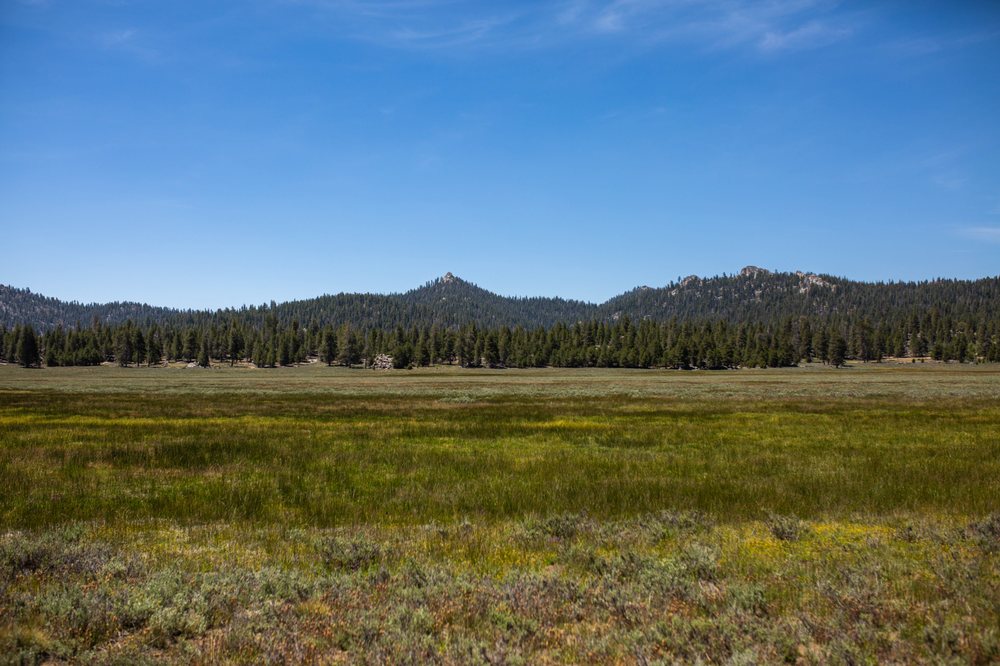 KENNEDY MEADOWS GENERAL STORE 12 Reviews 96740 Beach Meadows Rd