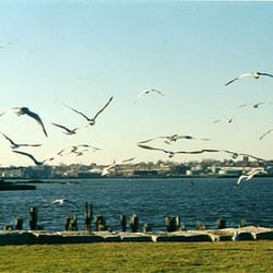 India Point Park